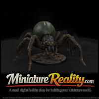 Giant Web Widow Spider — thumbnail 2