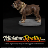 English Bulldog with Studded Collar — thumbnail 2