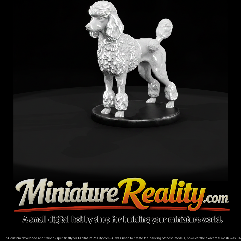 Standing Standard Poodle