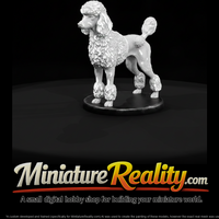Standing Standard Poodle — thumbnail 2
