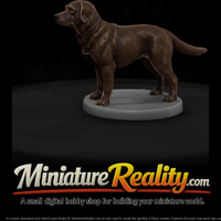 Standing Chocolate Labrador Retriever — thumbnail 2