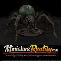 Giant Web Widow Spider — thumbnail 3