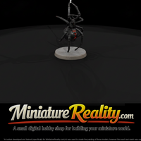 Black Widow Spider on a Silk Strand — thumbnail 3