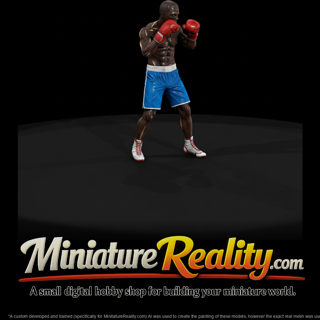 0092-sports-boxer-stance