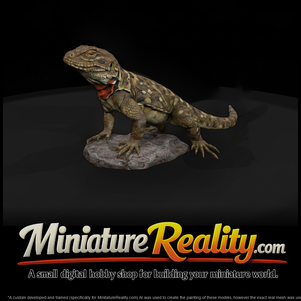 Ww 0338 Animal Collared Lizard