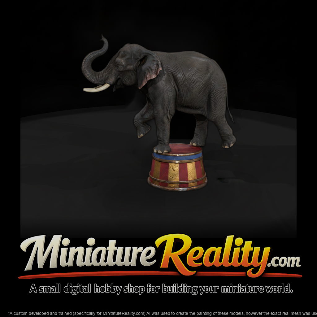 Cir 111 Animal Circus Elephant On Tub