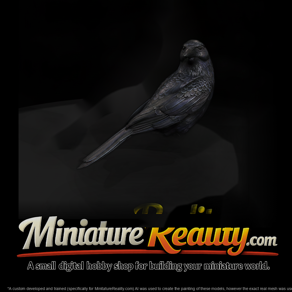 20260612 Black Crow Bird B98Ca4224B