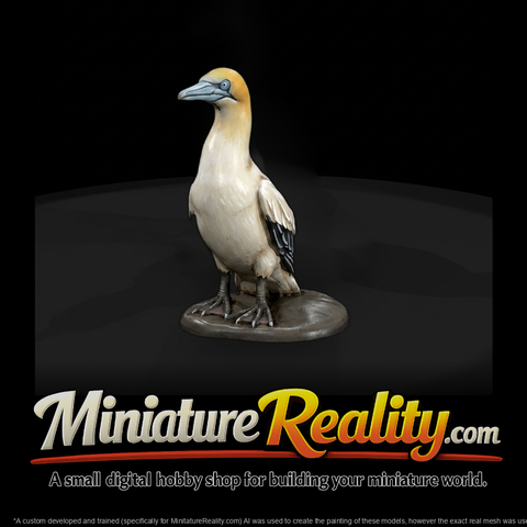 Stylized Gannet Seabird