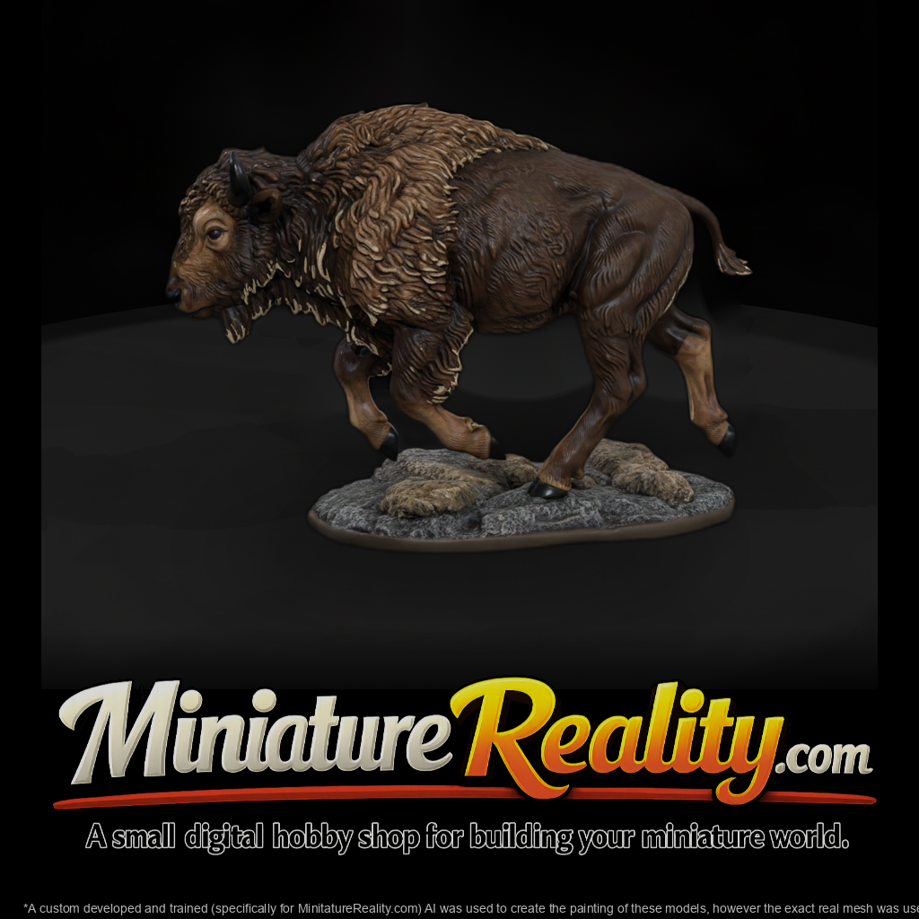 Charging Young American Bison