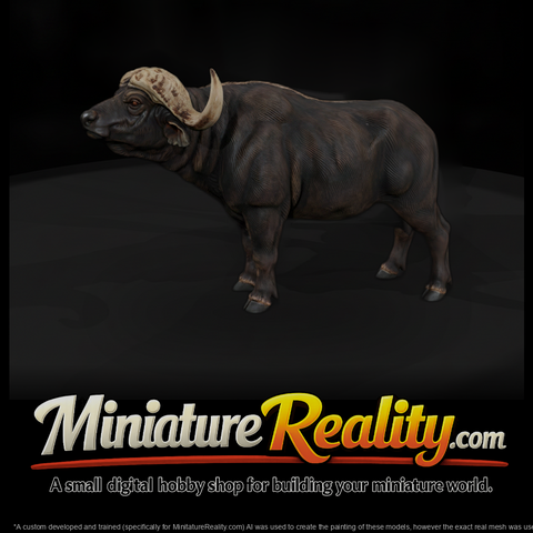 Ant 223 Cape Buffalo Male