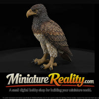 roc-mythical-giant-bird-437d32 — thumbnail 1