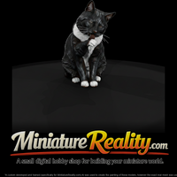 a-collection-of-housecats-grooming-bff3a161-meshre — thumbnail 1