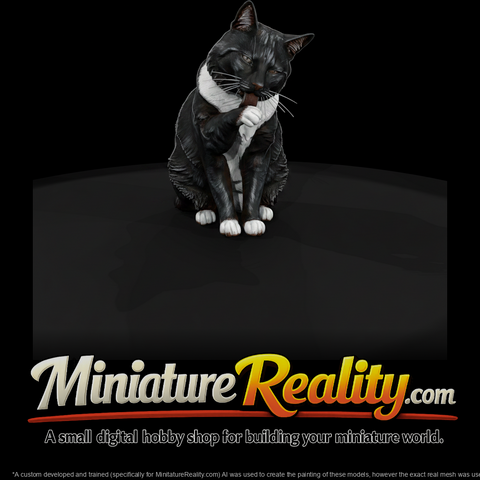 a-collection-of-housecats-grooming-bff3a161-meshre