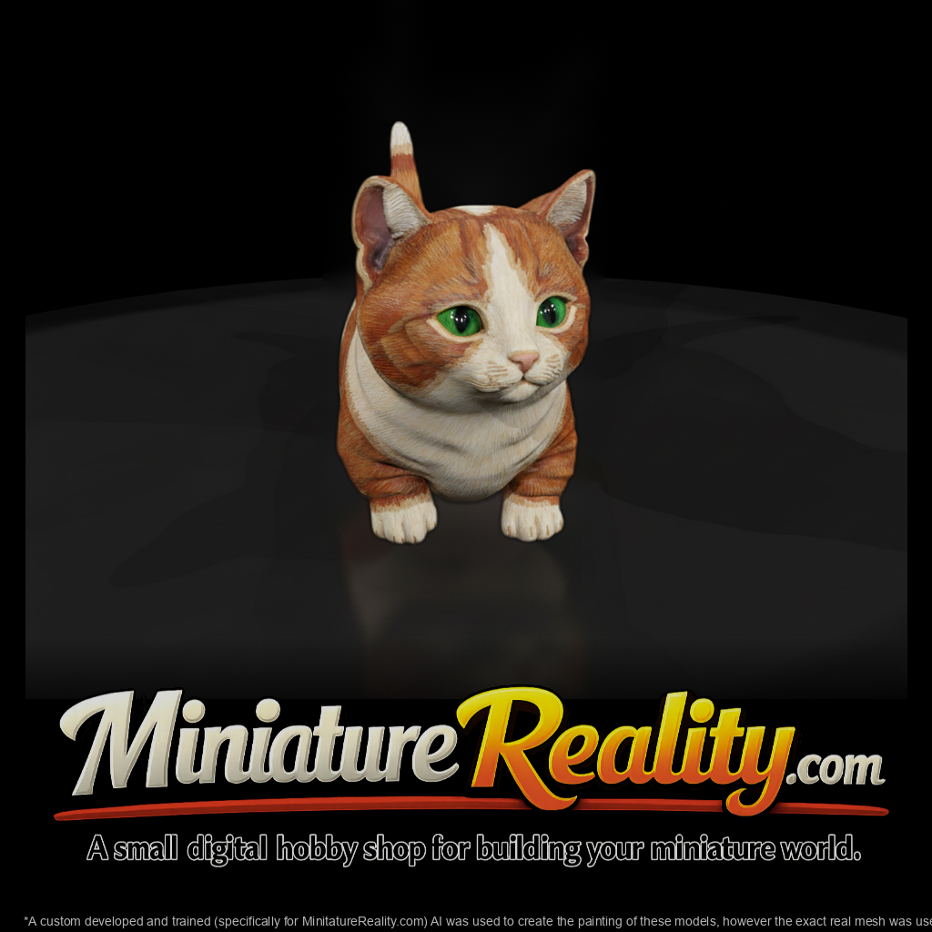 A Collection Of Housecats Munchkin E876Df2E Meshre