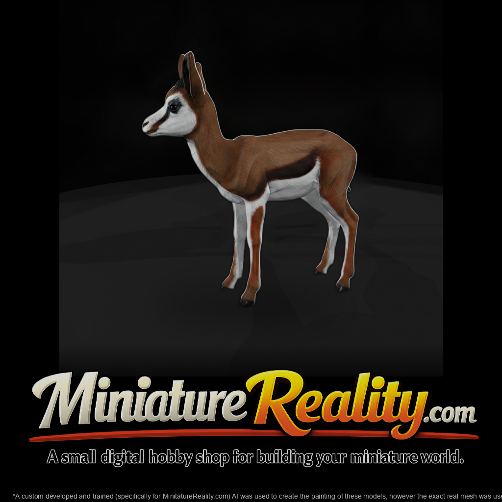 Springbok Antelope Juvenile