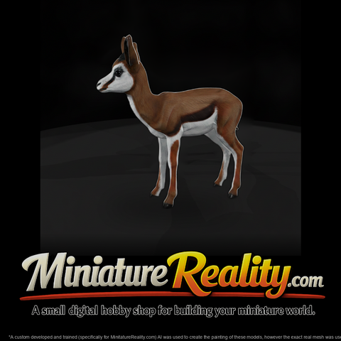 Springbok Antelope Juvenile
