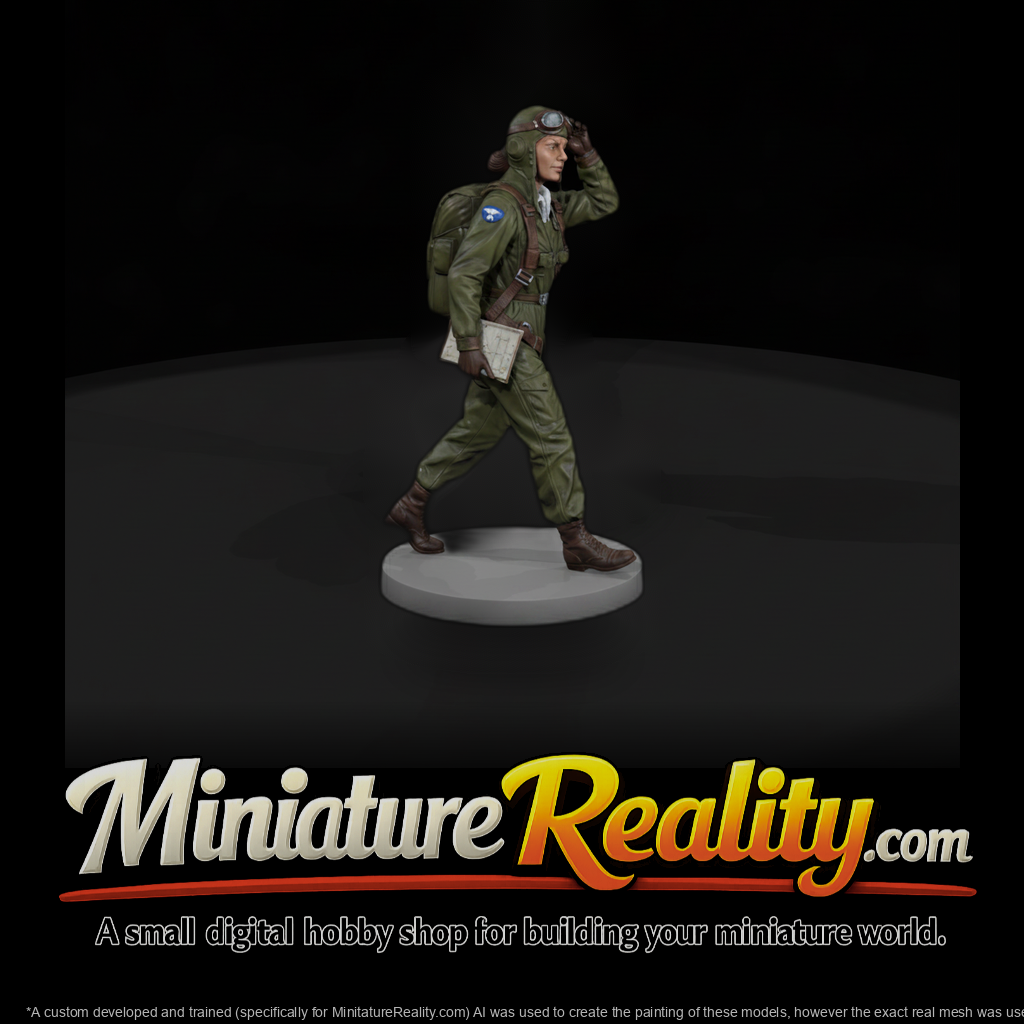 Ww2H 094 United States Wasp Ferry Pilot