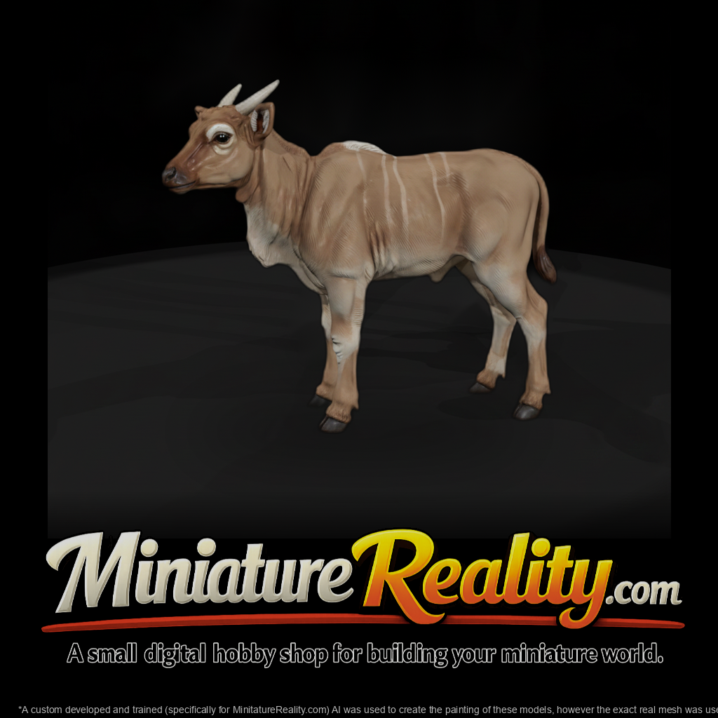Young Eland Antelope