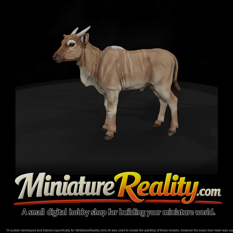 Young Eland Antelope
