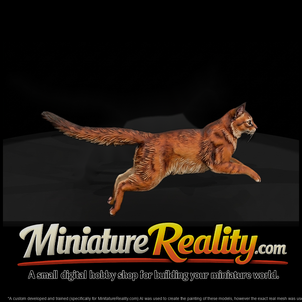 Somali Cat Set - Cats miniature, three-quarter view