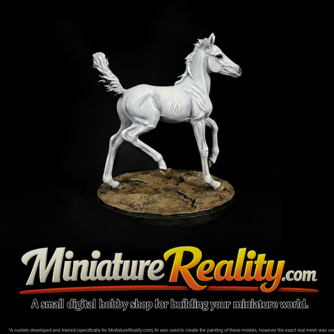 Foal