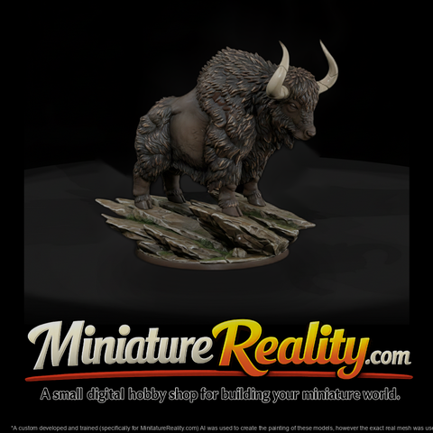 Shaggy Highland Yak