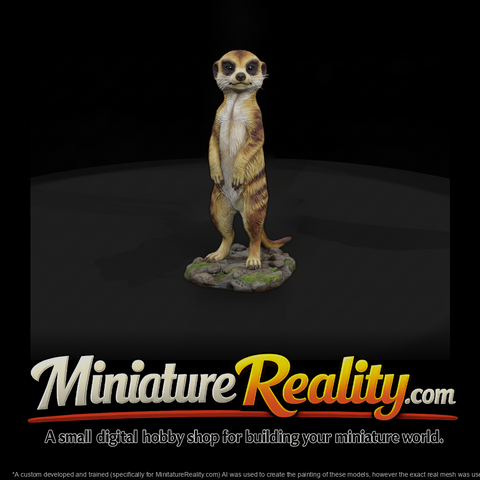 Meerkat Standing Sentry