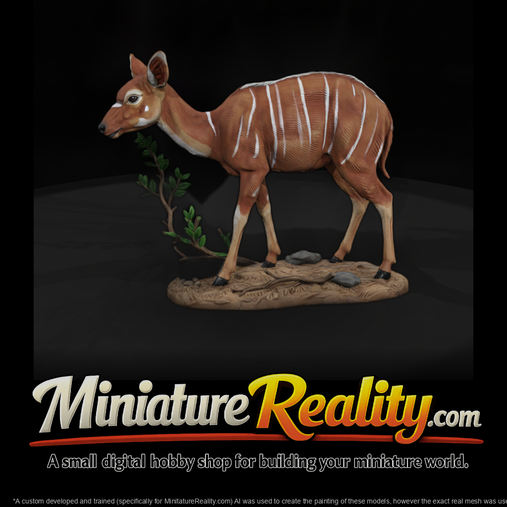 Ant 245 Nyala Female
