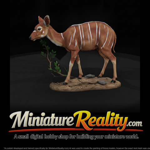 Ant 245 Nyala Female