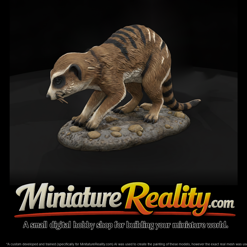 Ant 191 Meerkat Female