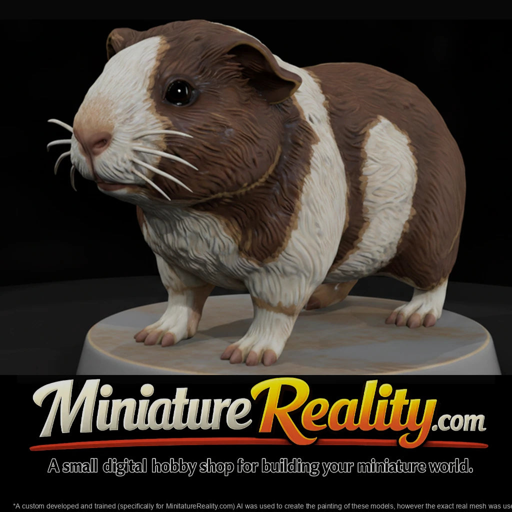 anim-27-guinea-pig-4a4412