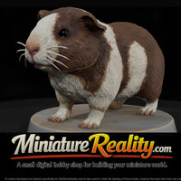 anim-27-guinea-pig-4a4412 — thumbnail 1