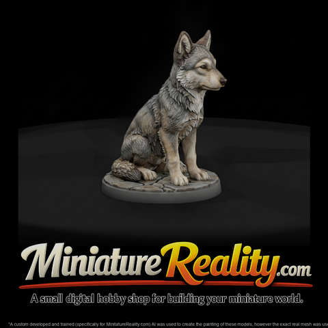 Sitting Gray Wolf