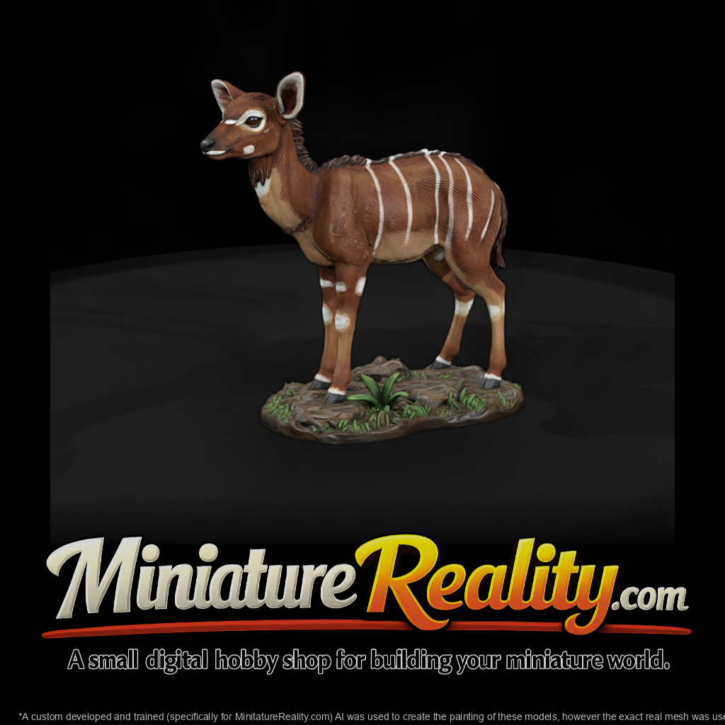 Young Nyala Antelope