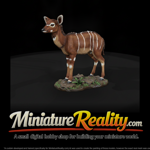 Young Nyala Antelope