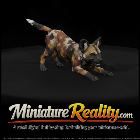 Ant 168 African Wild Dog Adolescent