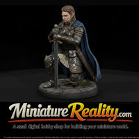 fadv-18-half-elf-paladin-6b5dc5 — thumbnail 1