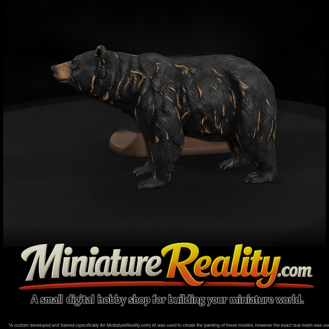 Ant 211 American Black Bear Male