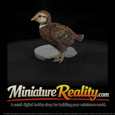 Young Ring-Necked Pheasant