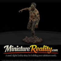 Zombie Zookeeper, Moderate Decay — thumbnail 1