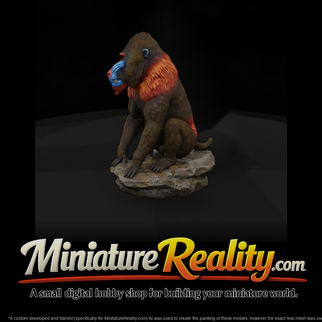 Ant 106 Mandrill Male