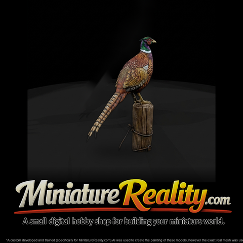 Ring-Necked Pheasant