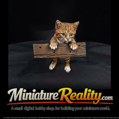 Polydactyl Housecat Set — Sitting & Reaching Poses