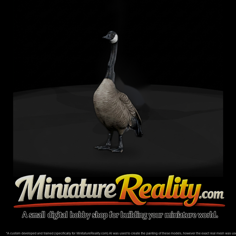 Canada Goose & Model Railroads