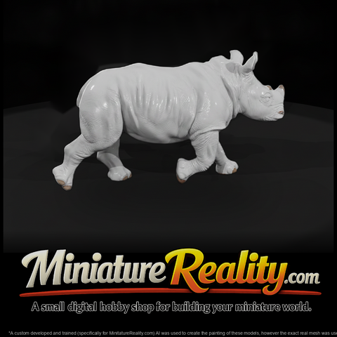 Young White Rhinoceros
