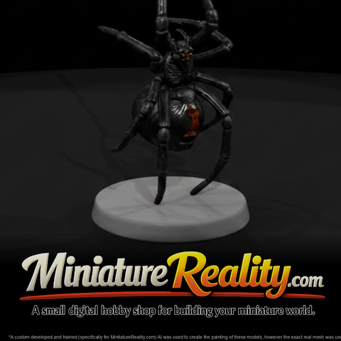 Black Widow Spider on a Silk Strand