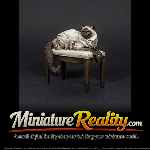 Balinese Housecats Ensemble — Cat