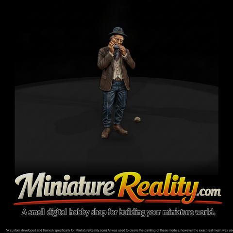Blues Harmonica Player