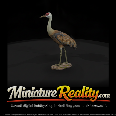 Ant 131 Sandhill Crane Female