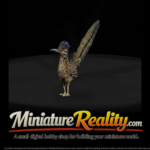 Greater Roadrunner Bird — Accent